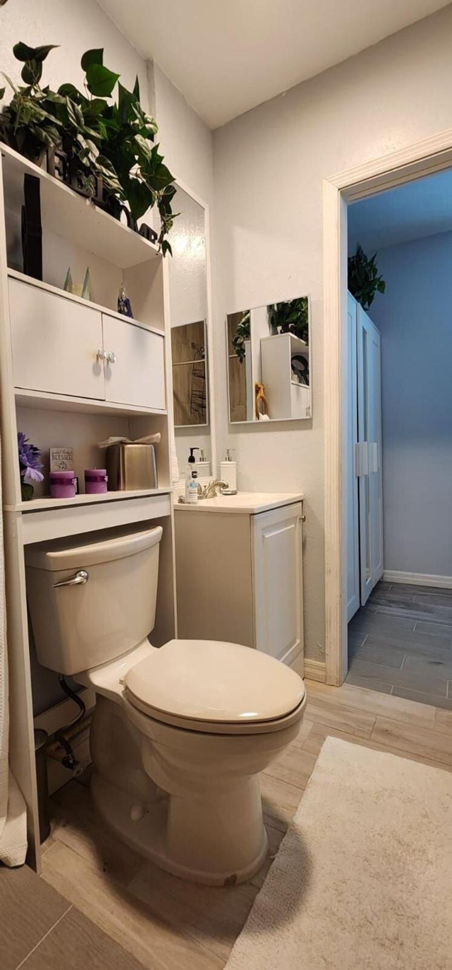 Sweet Studio In Sarasota Exteriör bild