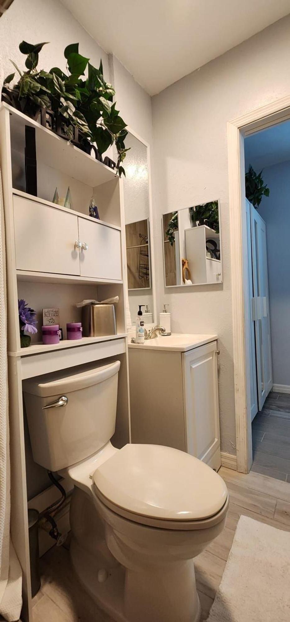 Sweet Studio In Sarasota Exteriör bild